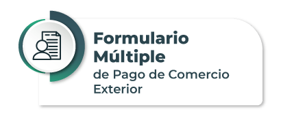 4-formulario-multiple-2