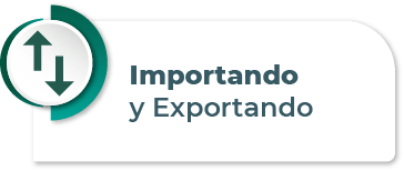 btn_impo_expor_carga