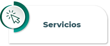 btn_servicios_carga