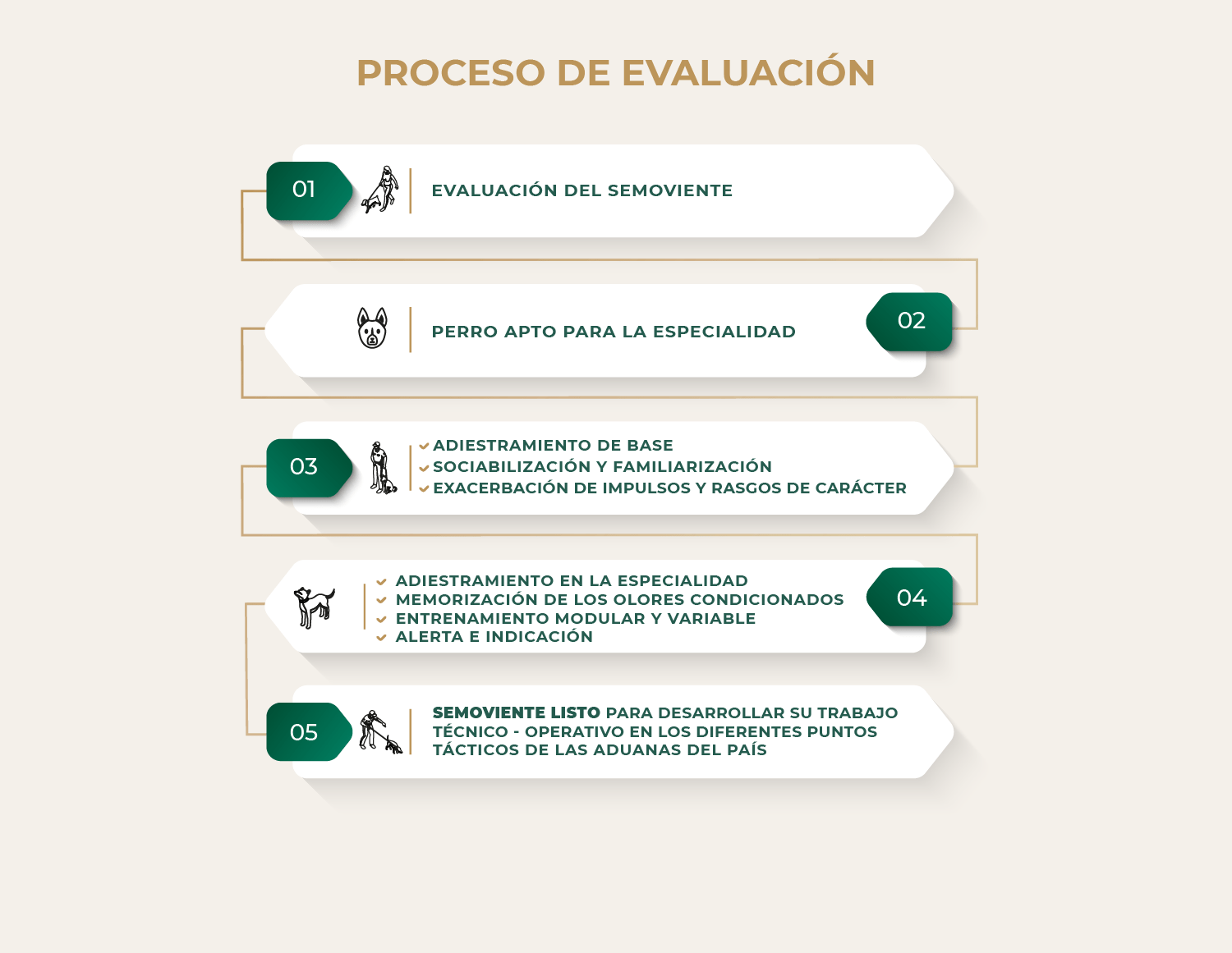 5_proceso_evaluacion