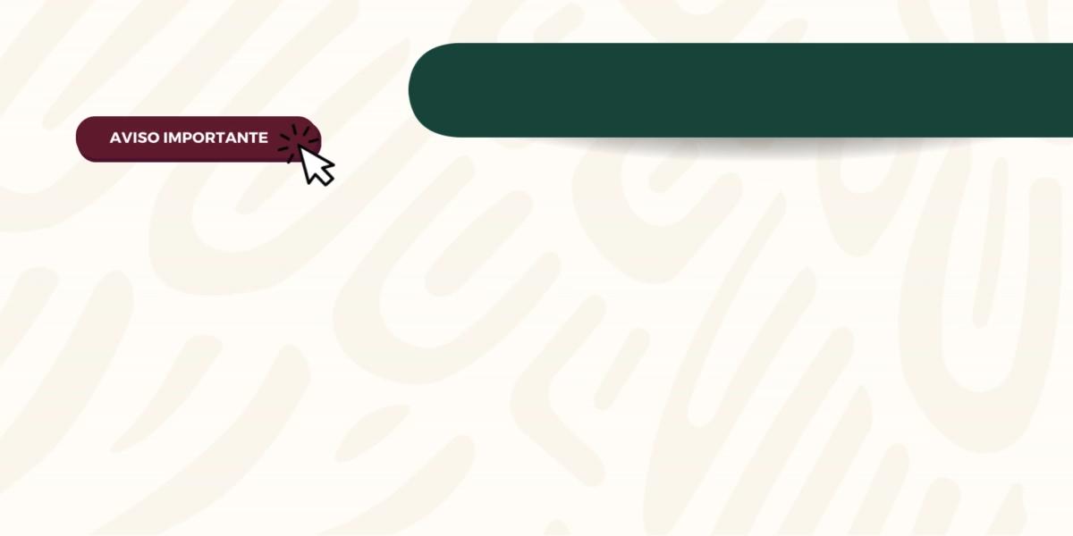 ANAM – Agencia Nacional de Aduanas de México